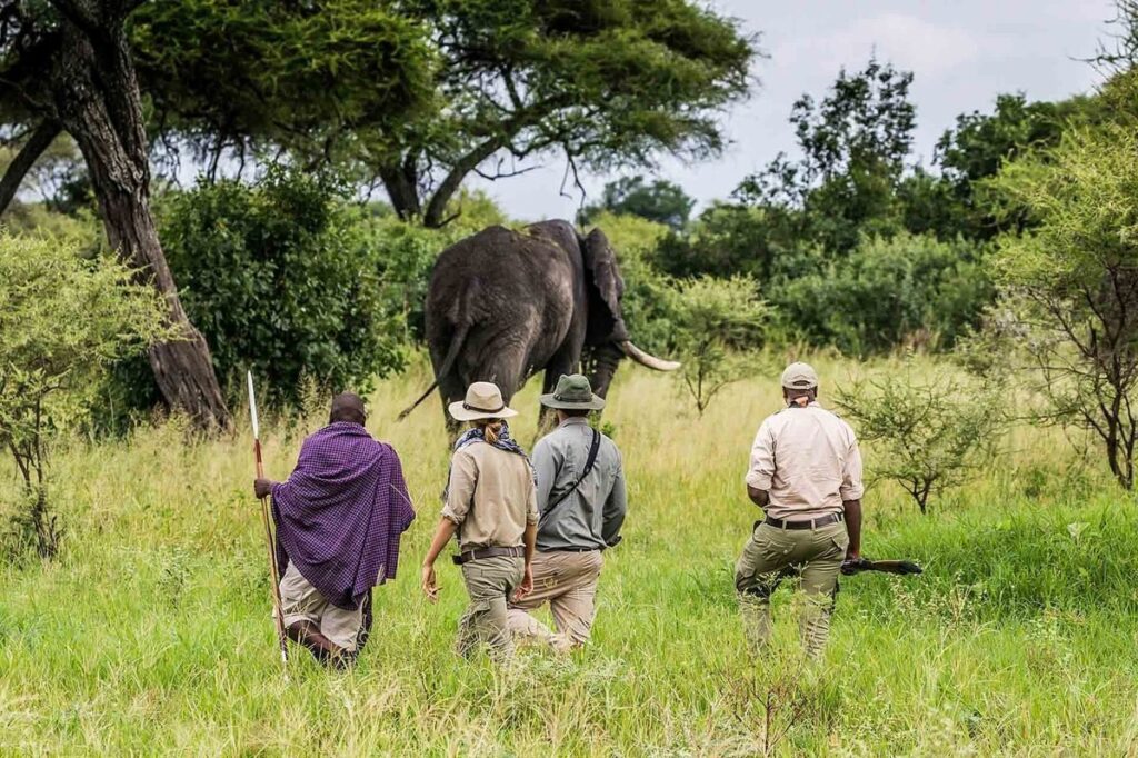 What Is the 12-Hour Rule for Masai Mara Safaris?